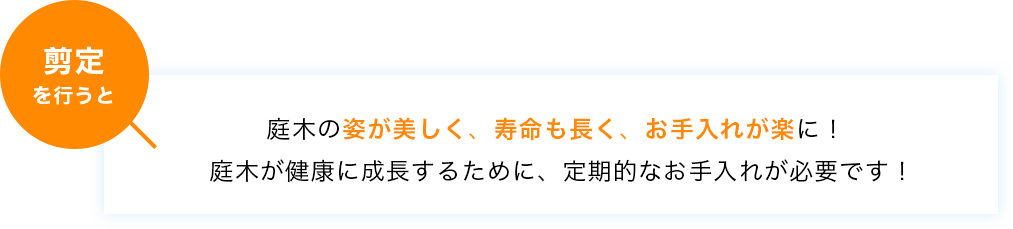 庭木の姿が美しく、寿命も長く、お手入れが楽に！庭木が健康に成長するために、定期的なお手入れが必要です！