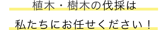 庭木・植木の剪定・刈込は私たちにお任せください!