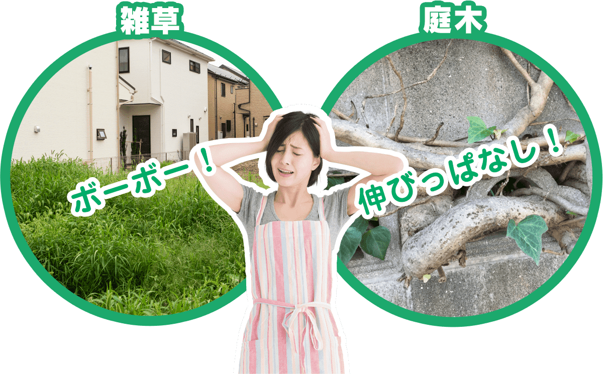 雑草・庭木 ボーボー!伸びっぱなし!
