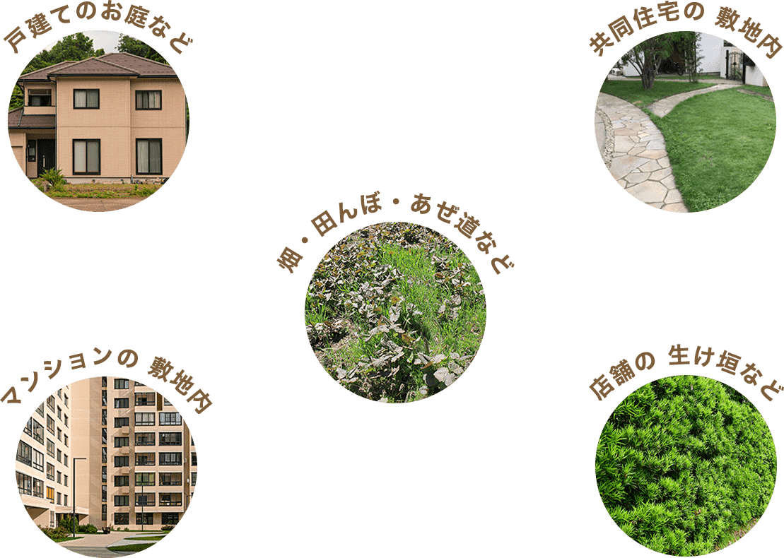 戸建てのお庭など・共同住宅の敷地内・マンションの敷地内・店舗の生け垣など・畑・田んぼ・あぜみ道など